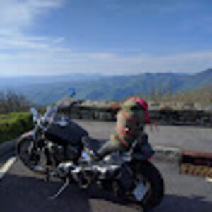 Meet your Posher, Adam